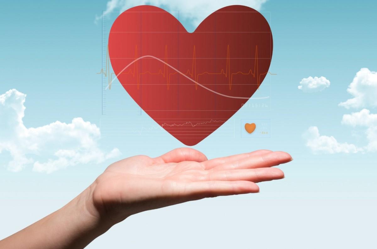 True Heart Foundation