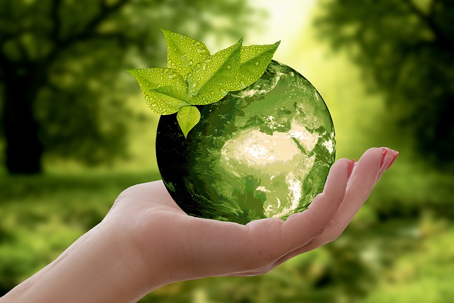 Ayurvedic Wellness & Preventive Care